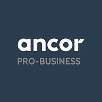 ANCOR Pro-Business: Продажи и маркетинг. Новое в управлении полевым персоналом