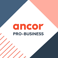 ANCOR PRO-Business: Бизнес и рекрутмент. Взаимодействие в банке
